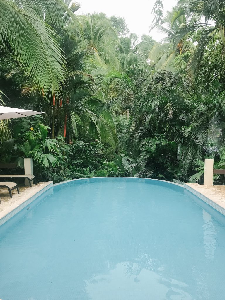 The Falls at Manuel Antonio hotel pool and property