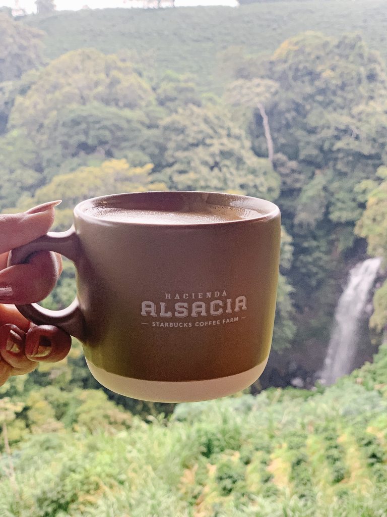 Starbucks hacienda Alsacia Coffee farm Costa Rica
