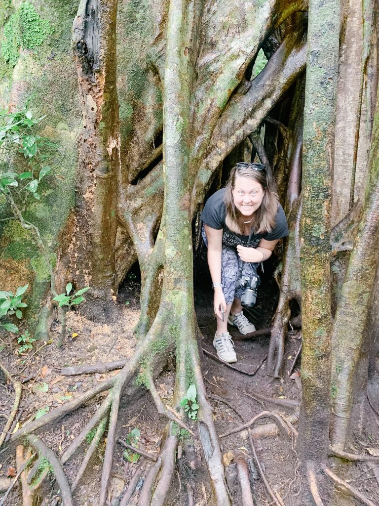 Hanging out in a ficus tree in Monteverde