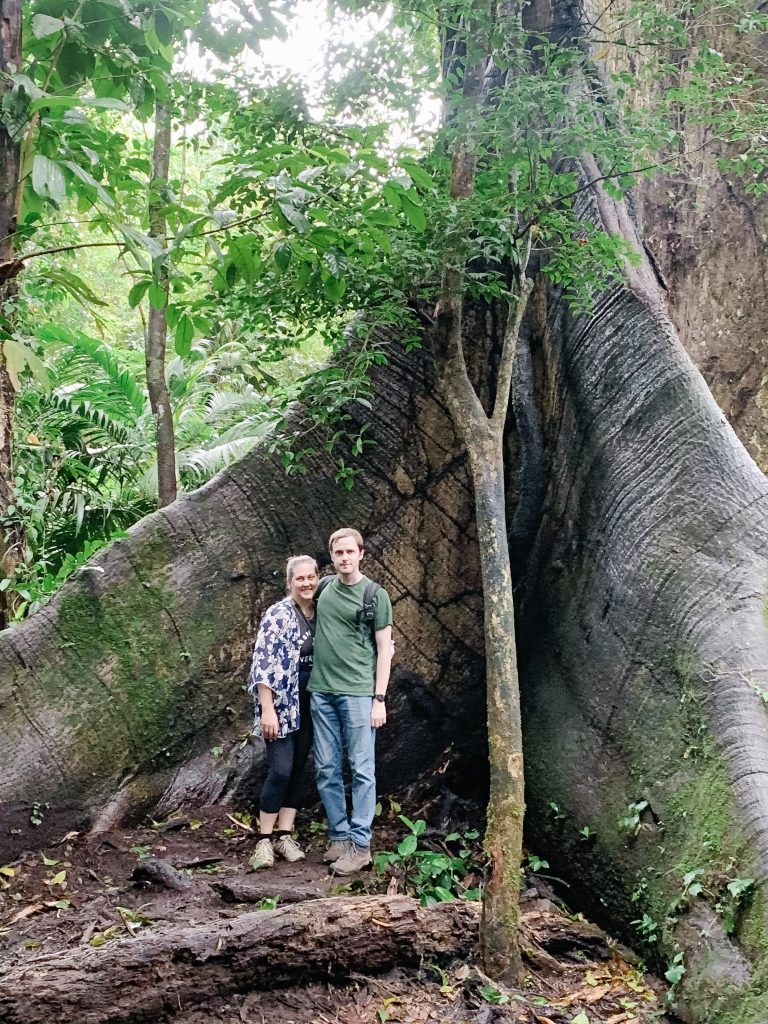 Big trees in Arenal National Park