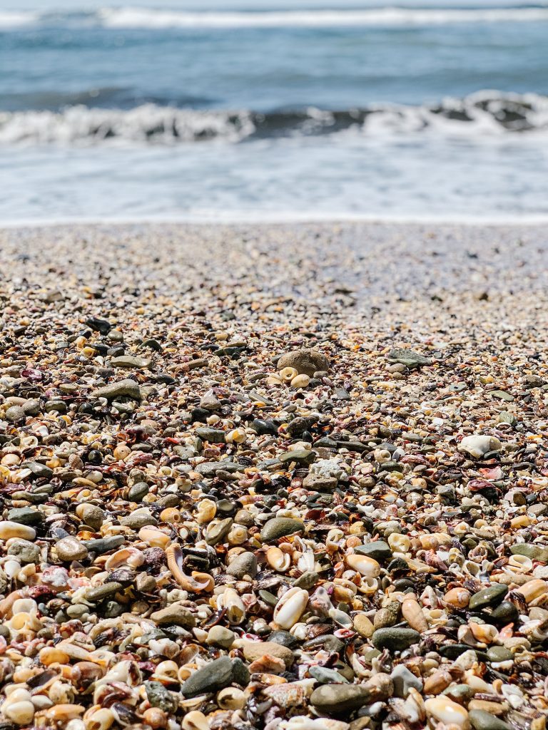 Nosara beach with seashells