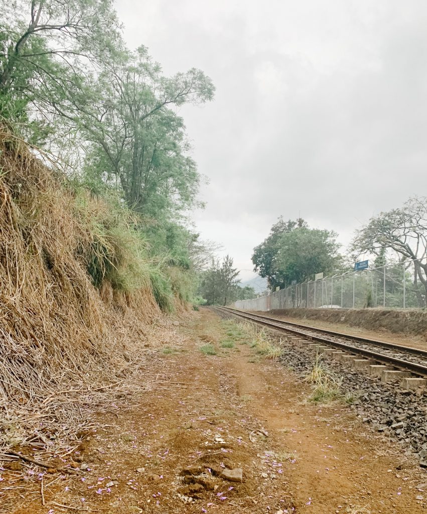 train tracks