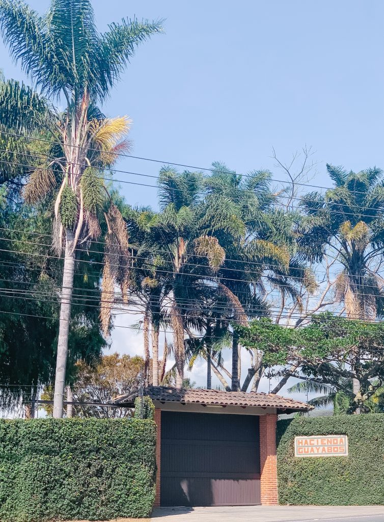 Gated community gate with palm trees