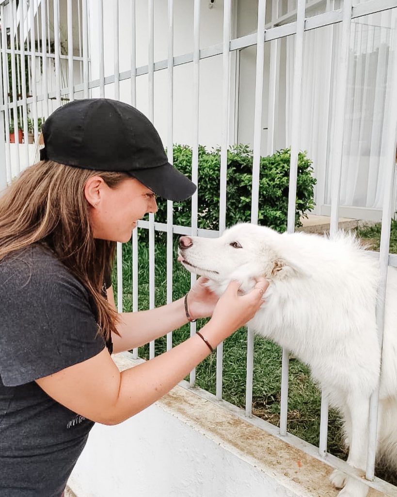 floof dog friend