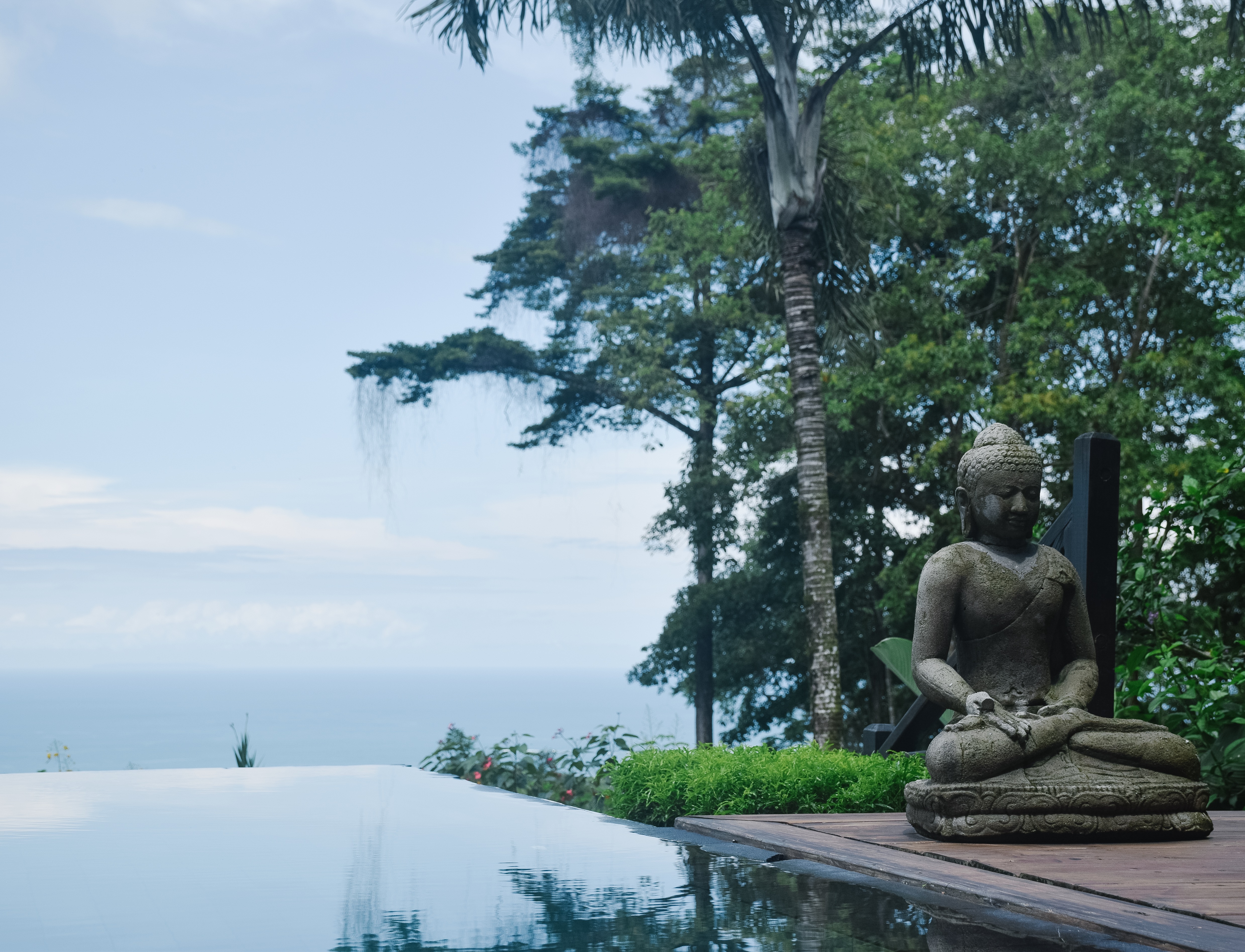Oxygen Jungle Villas infinity pool