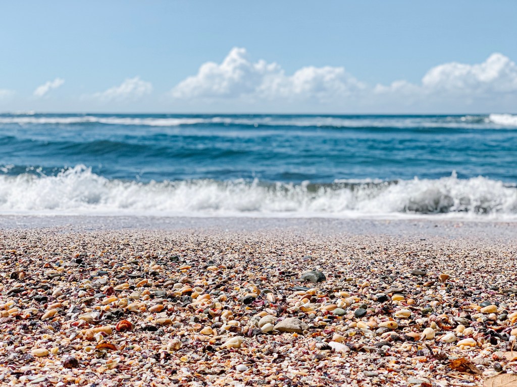 Living in Costa Rica: a 6-month&nbsp;review