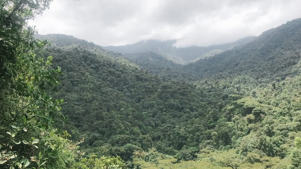 Two Months In Costa Rica: Settling in and Lessons&nbsp;Learned