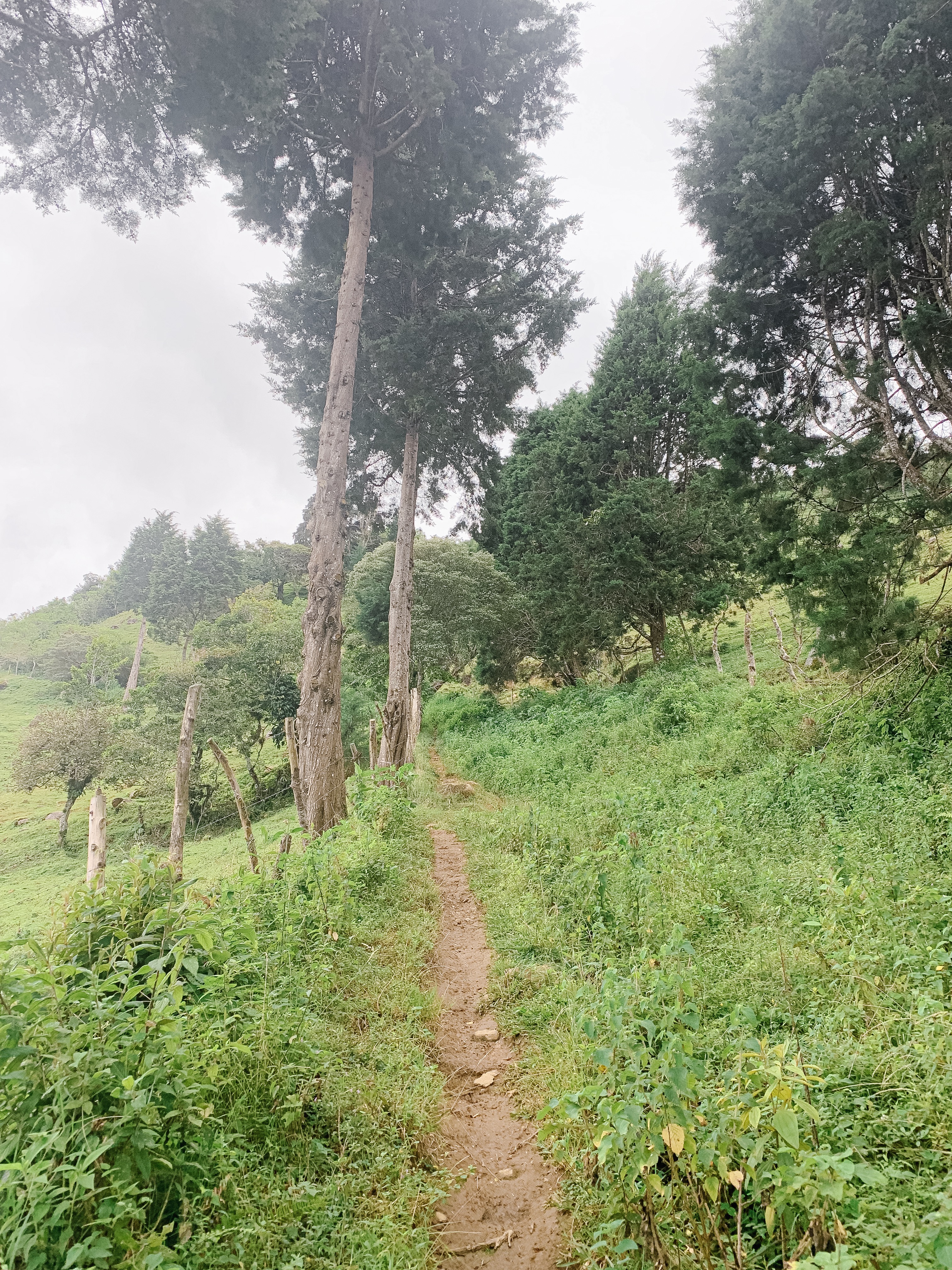 Hiking incline
