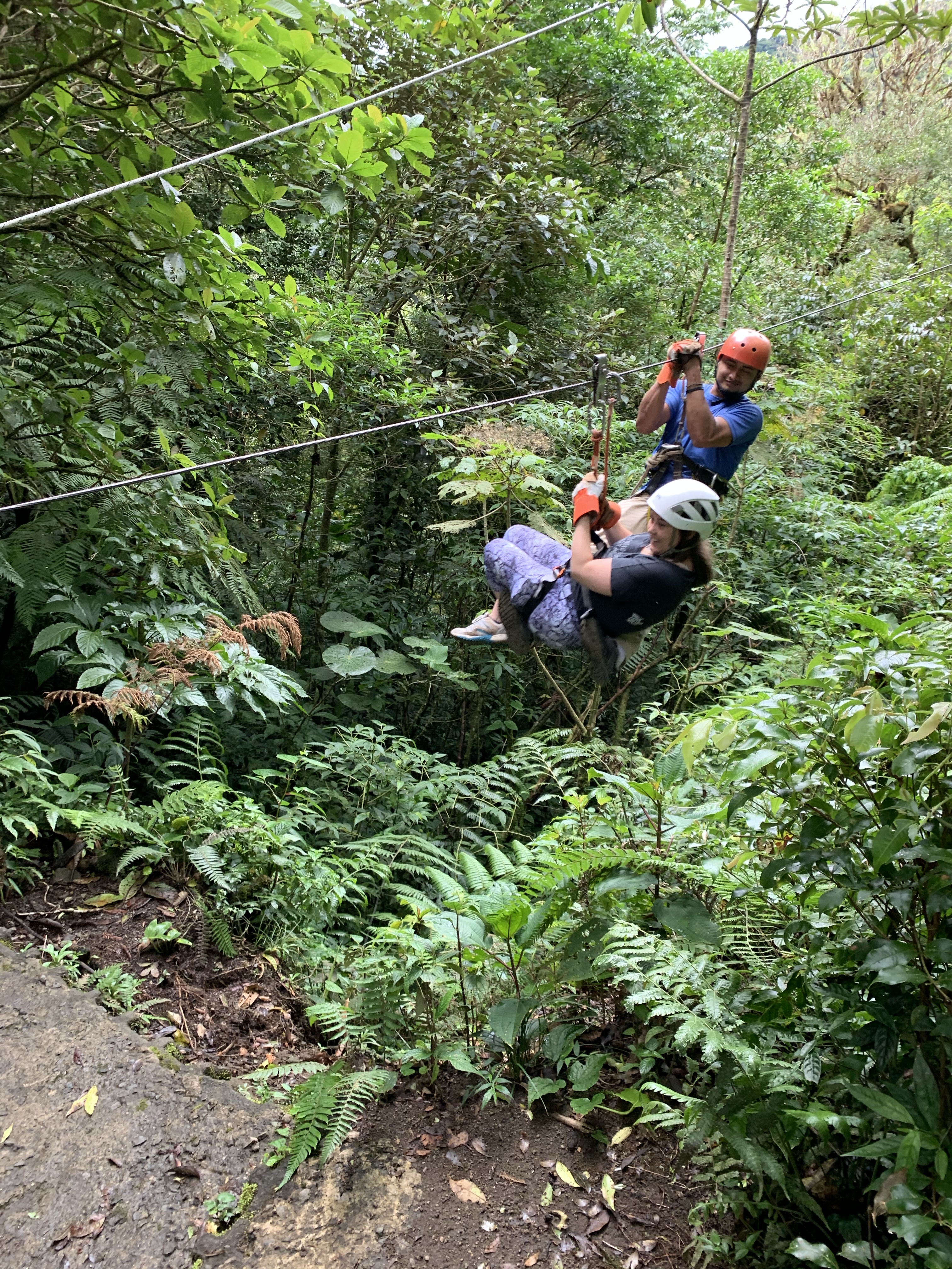 Ziplining in Monteverde