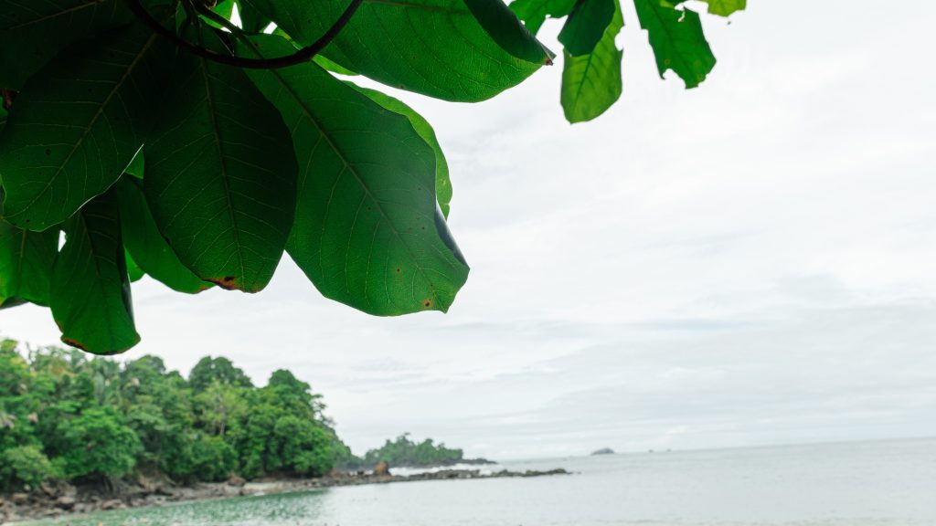 A 36 Hour Weekend Getaway in Manuel&nbsp;Antonio