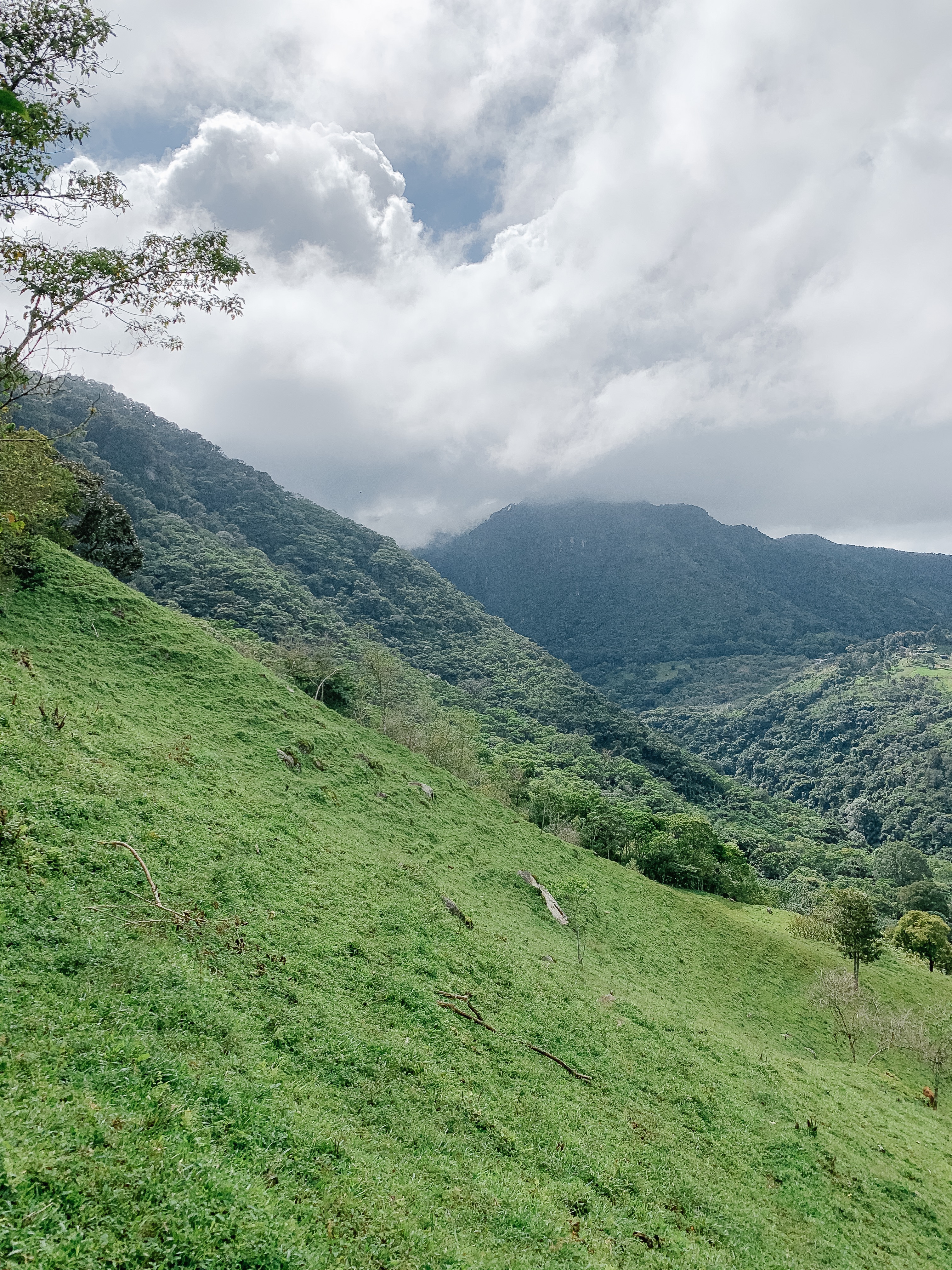 Terrain of the steep hiking trail