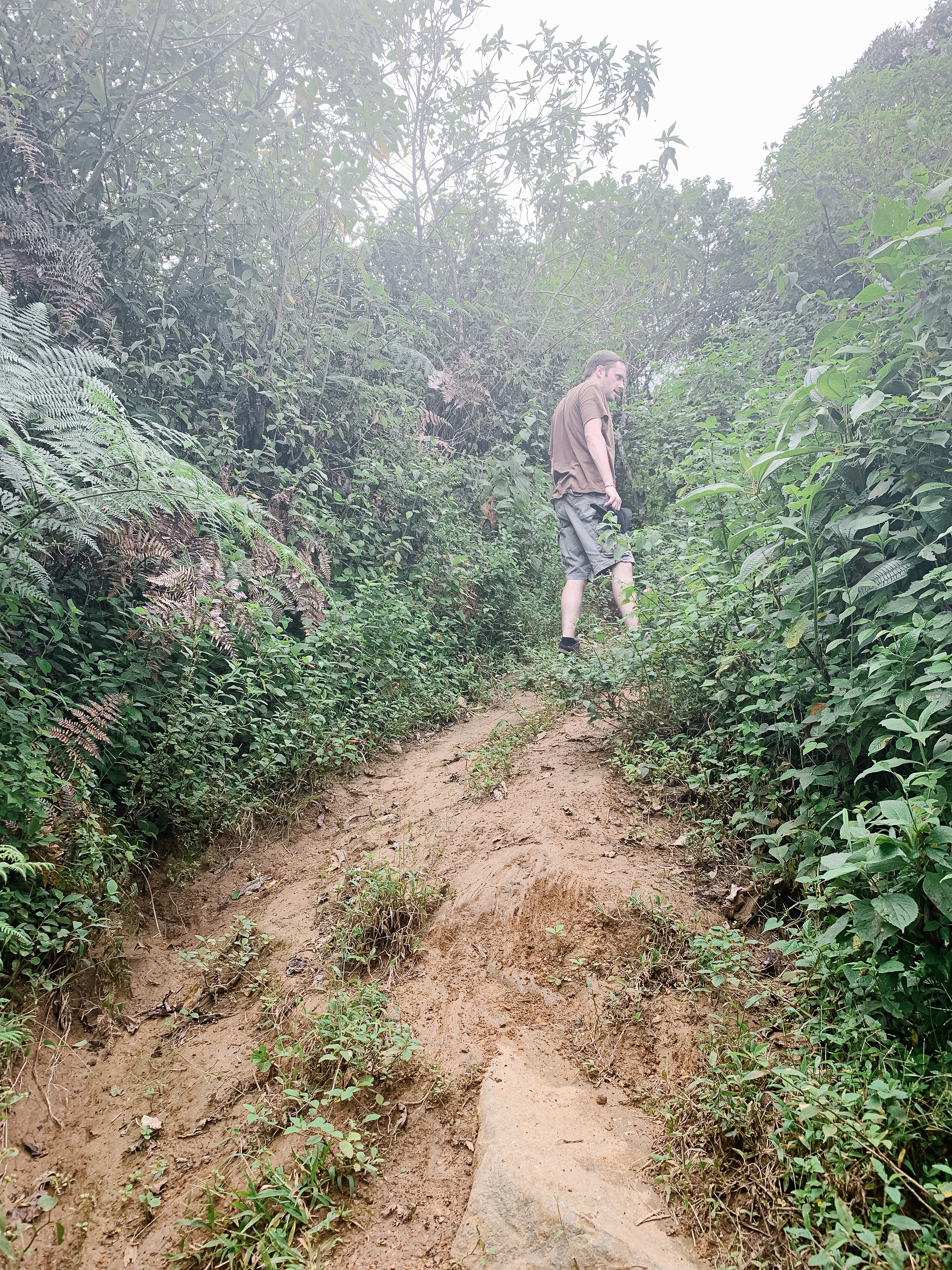 Steep hiking trails up the Escazu mountain