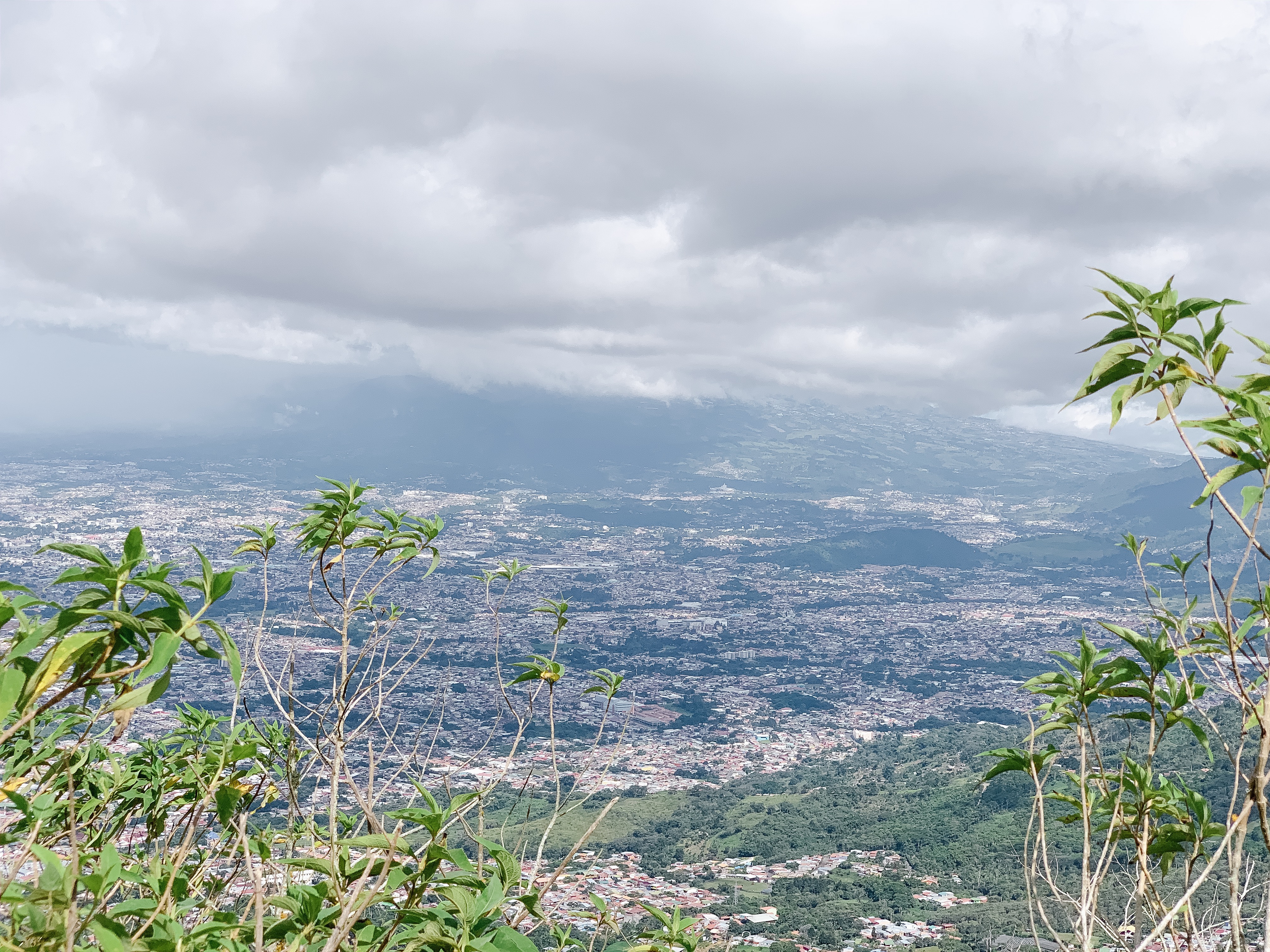 San Jose city landscape view